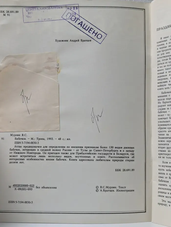 Бабочки