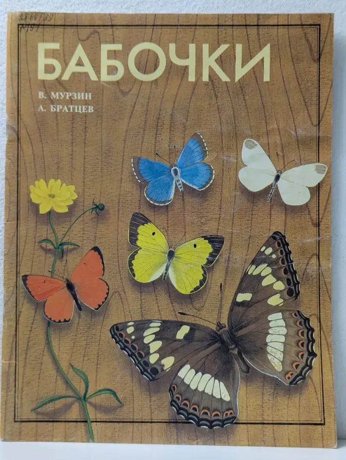 Бабочки