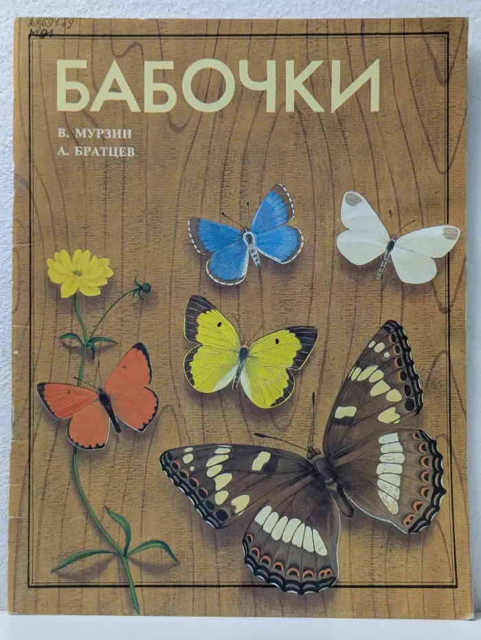 Бабочки
