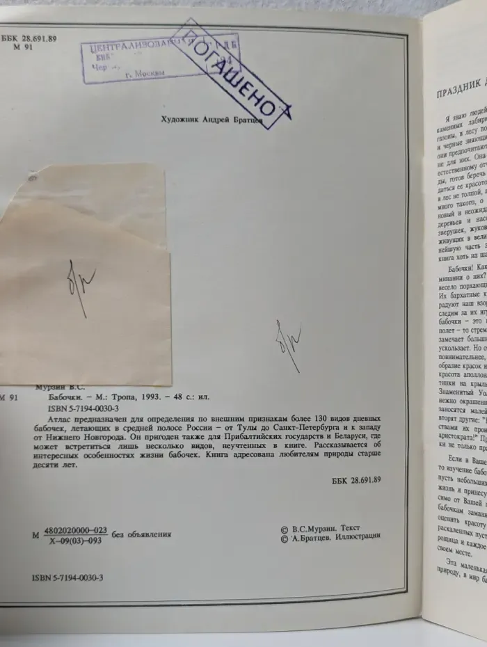 Бабочки