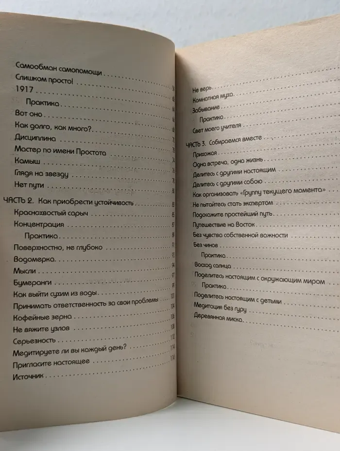 Серия 911. Медитация без гуру