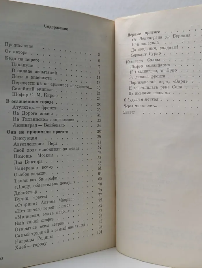 Но баранку не бросал шофер