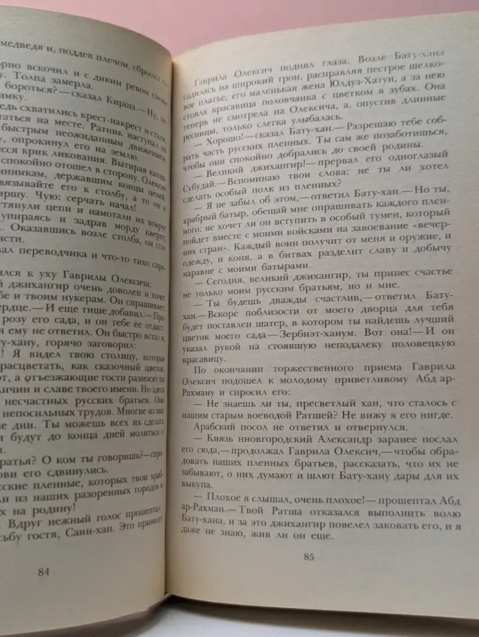 К последнему морю. Юность полководца