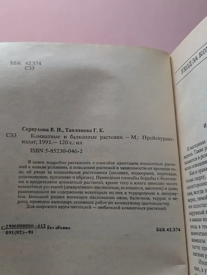 Комнатные и балконные растения