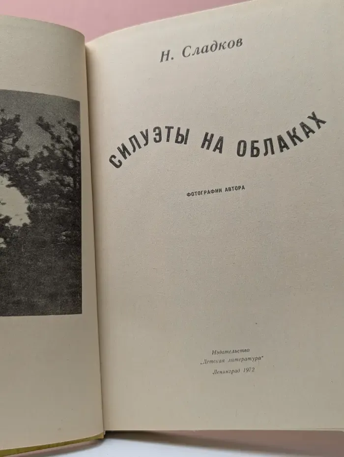 Силуэты на облаках
