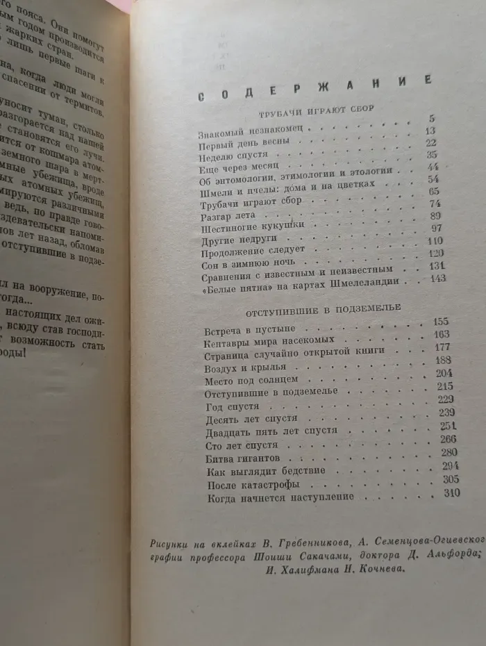 Шмели и термиты