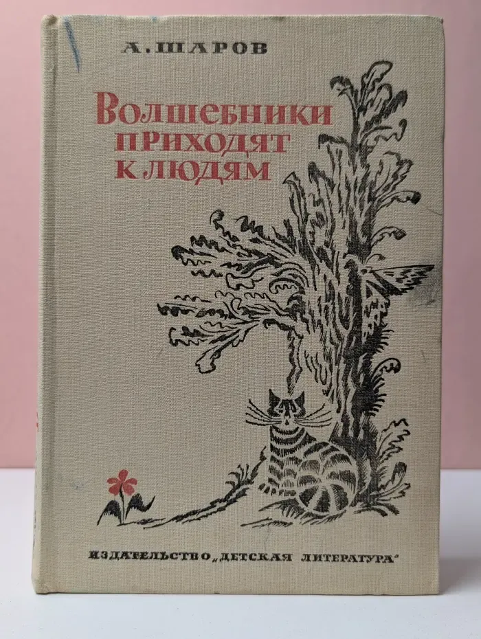 Волшебники приходят к людям