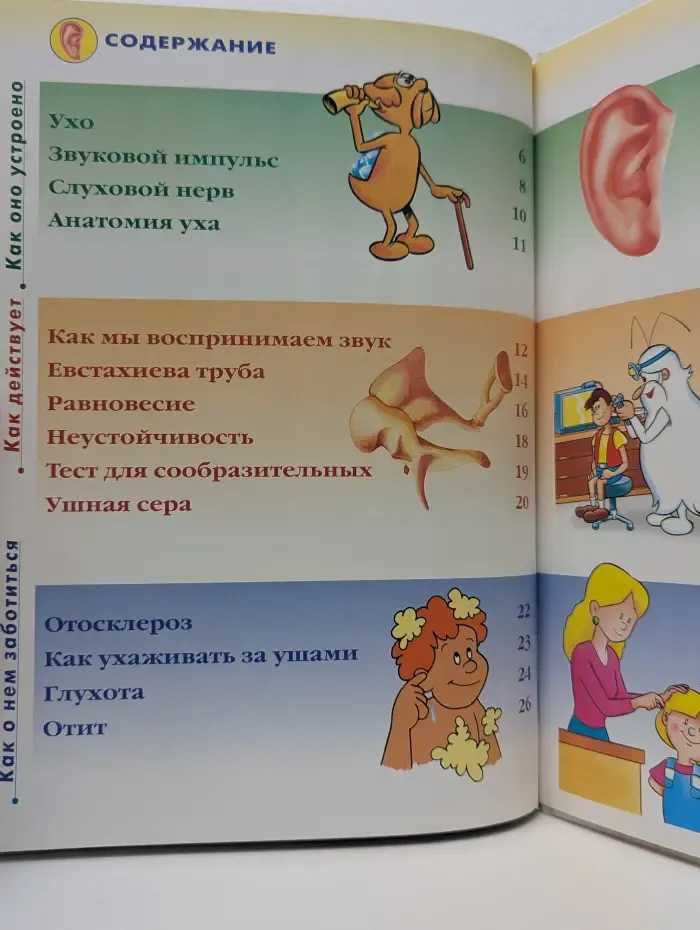 Как устроено тело человека. Выпуск № 21. Ухо