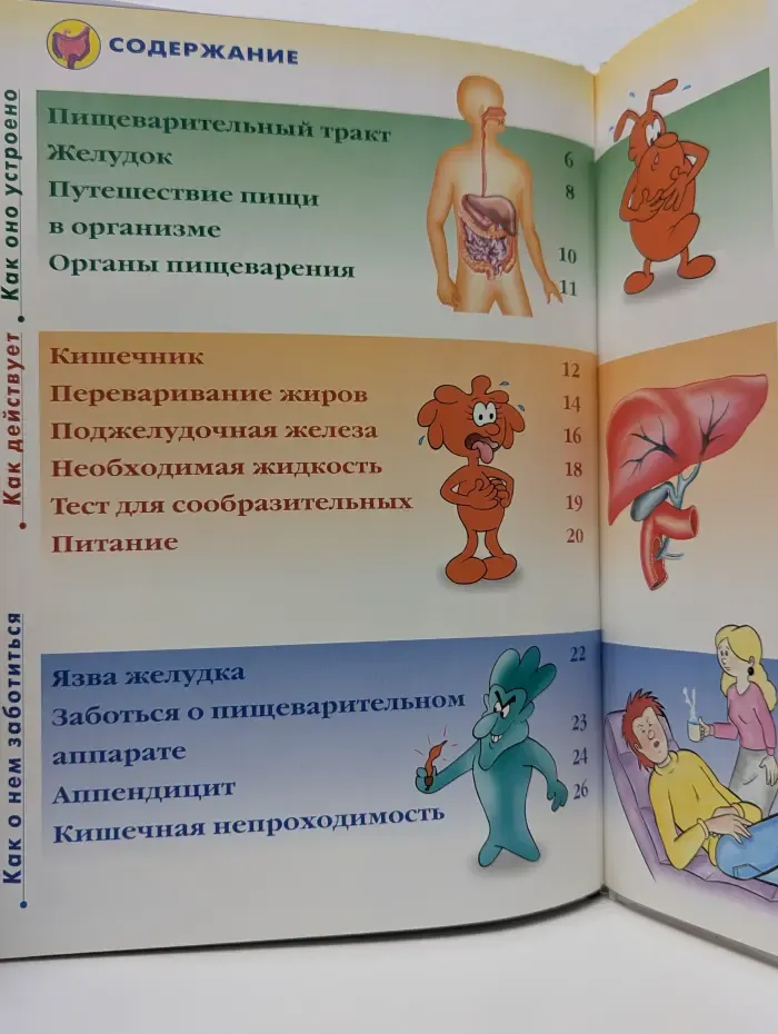 Как устроено тело человека. Выпуск № 14. Пищеварительная система