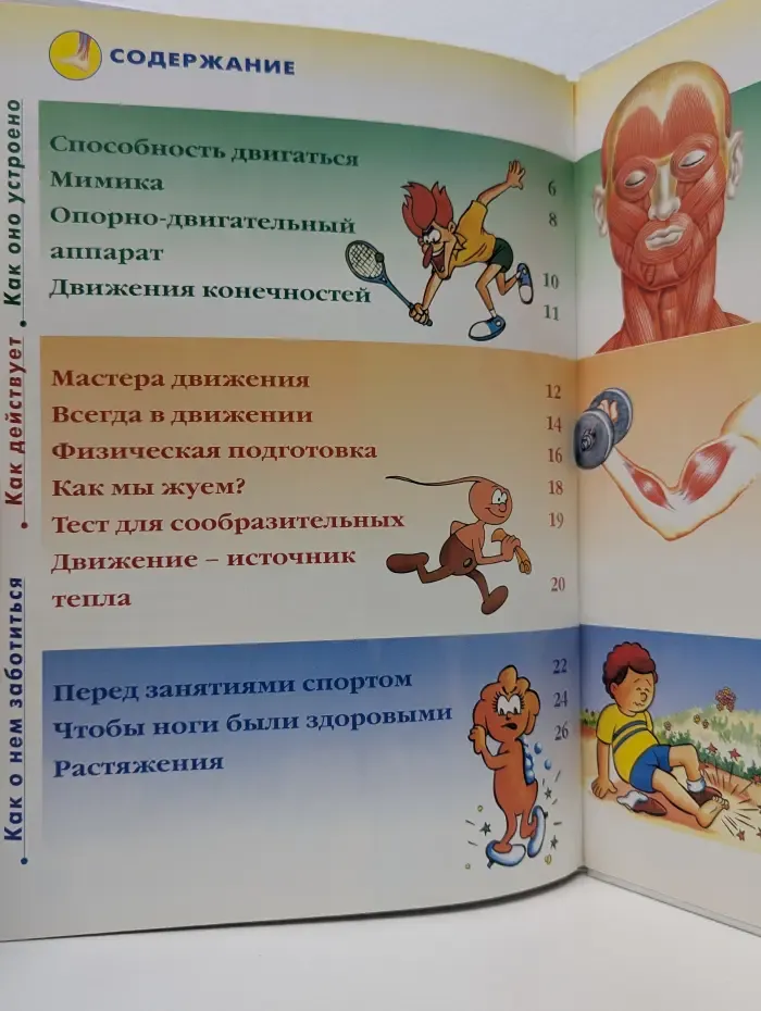 Как устроено тело человека. Выпуск № 8/2007. Движение