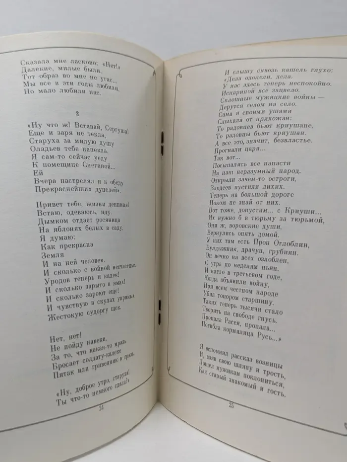 Школьная библиотека. Анна Снегина