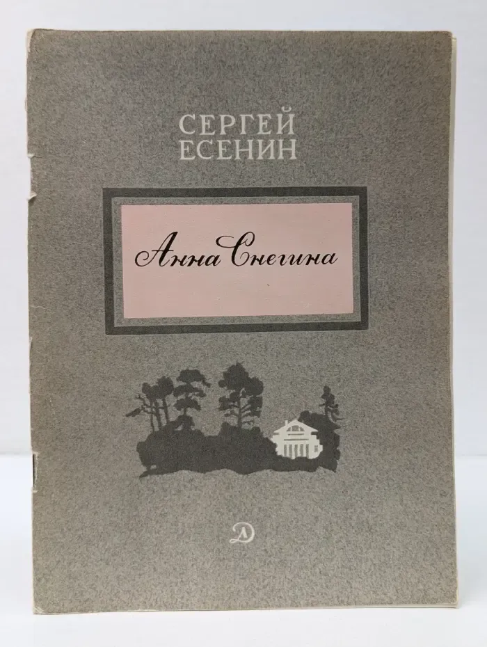 Школьная библиотека. Анна Снегина
