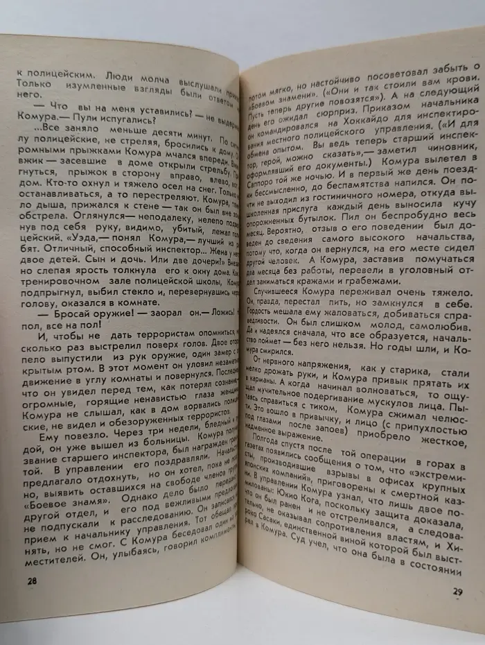 Хризантема пока не расцвела