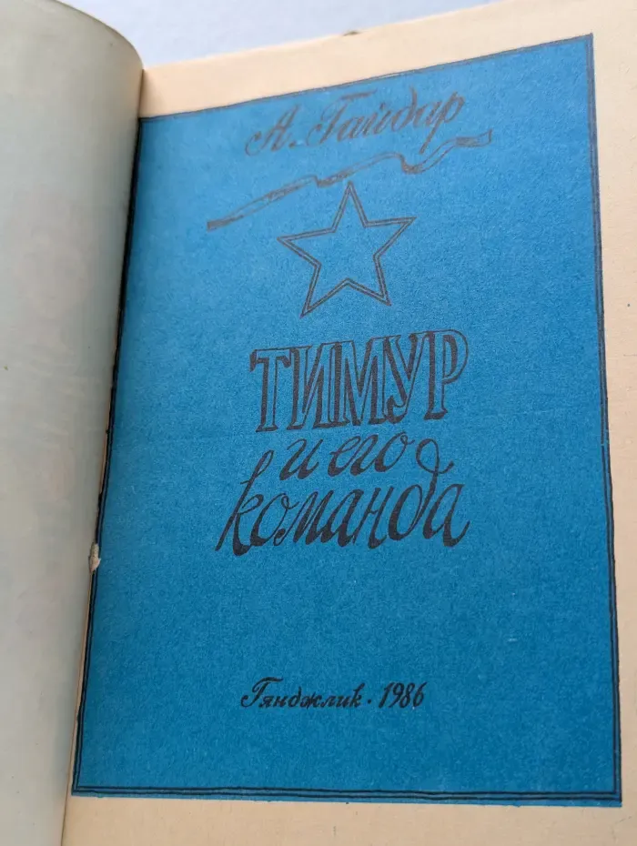 Тимур и его команда