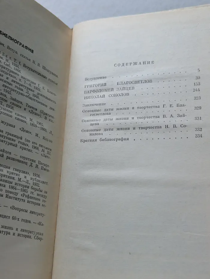 Жизнь замечательных людей. Публицисты 1860-х годов