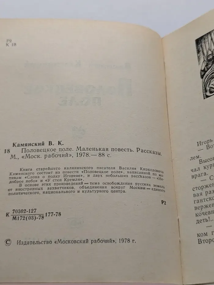 Половецкое поле