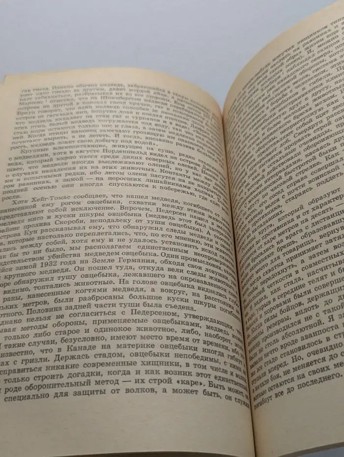 Мир белого медведя