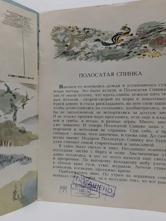 Полосатая спинка