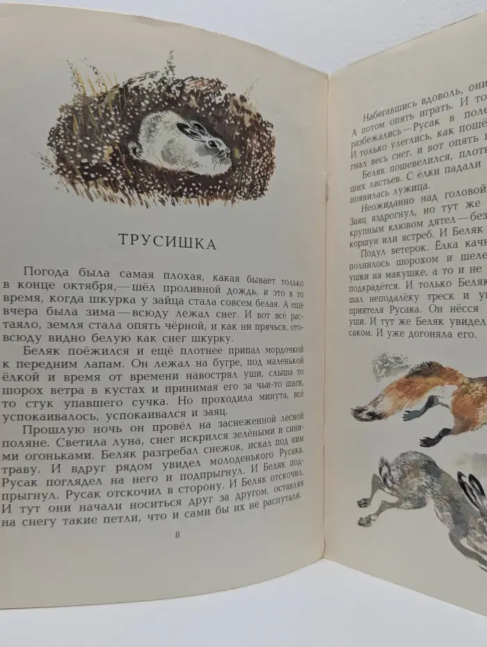 Полосатая спинка