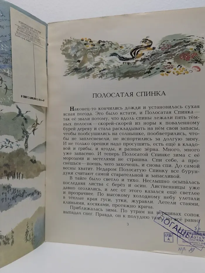 Полосатая спинка