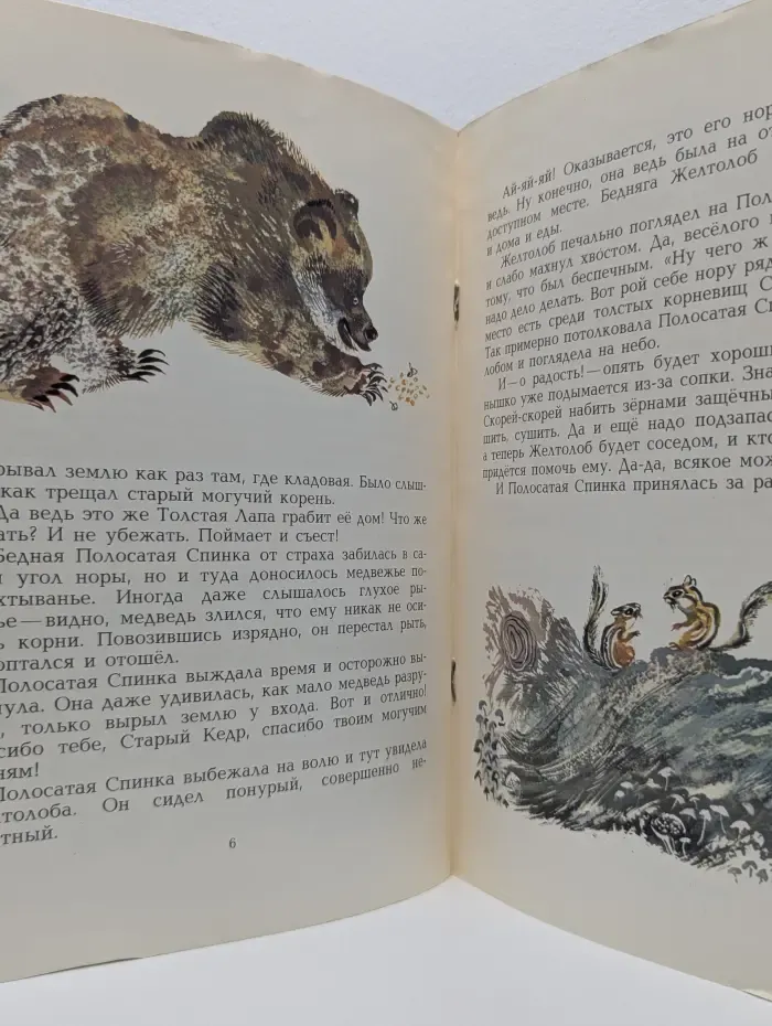Полосатая спинка