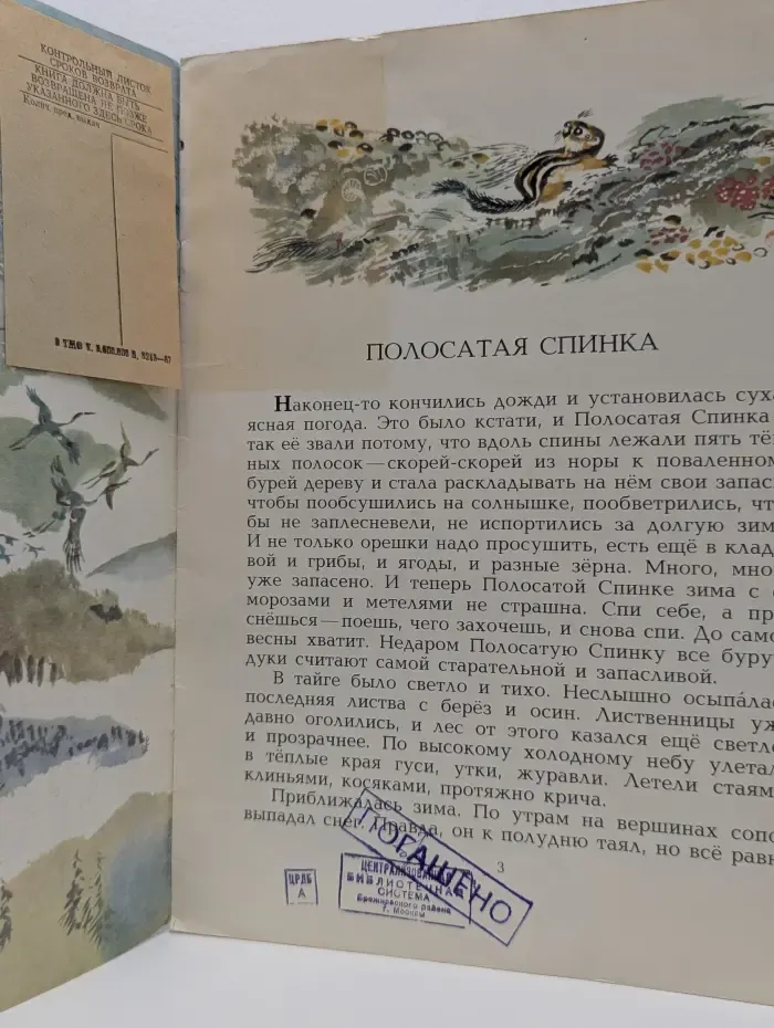 Полосатая спинка