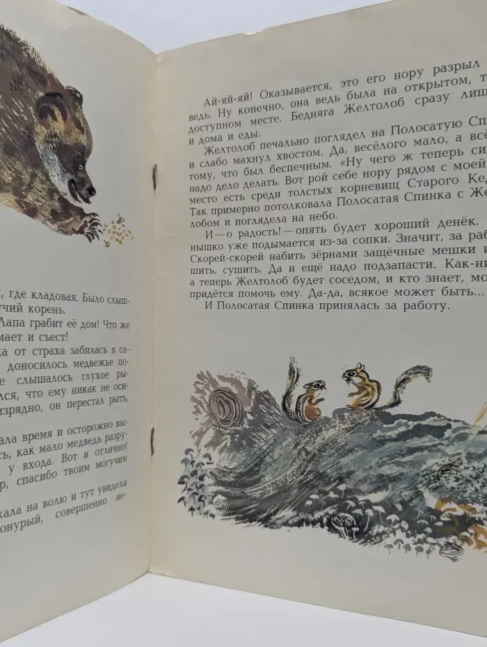Полосатая спинка