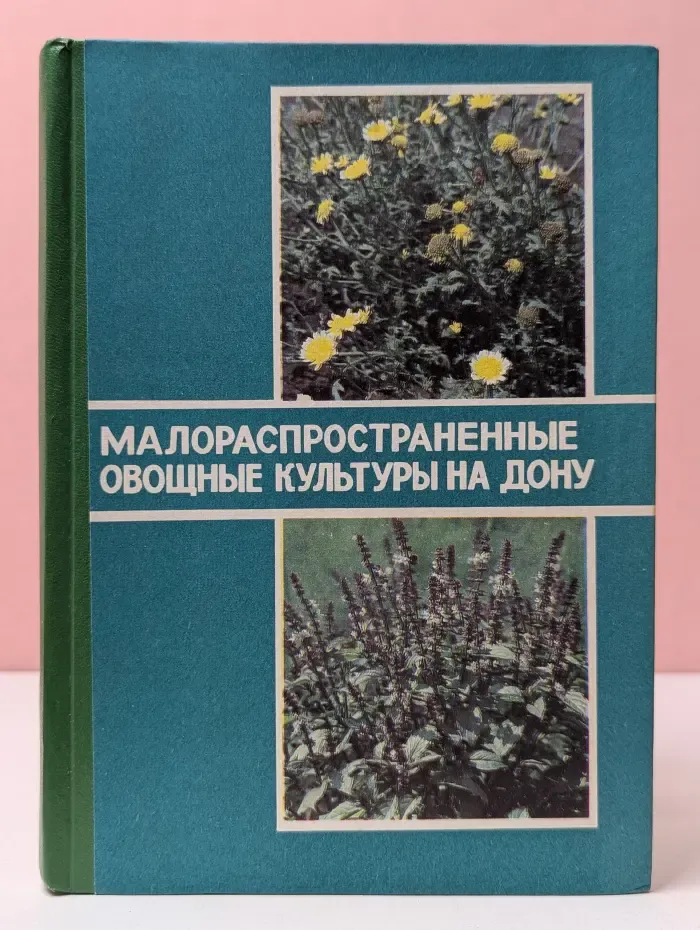Малораспространенные овощные культуры на Дону