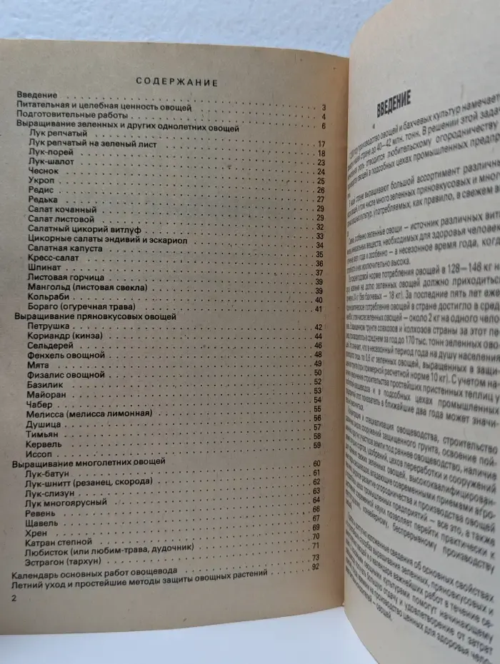Витамины с грядки