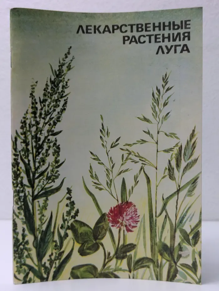 Лекарственные растения луга
