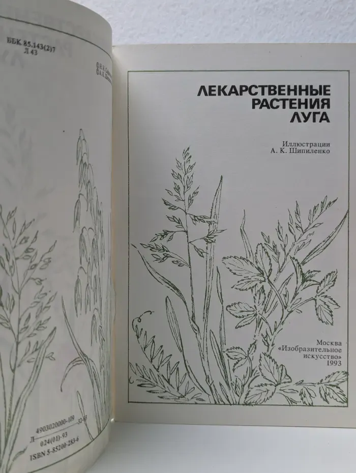 Лекарственные растения луга