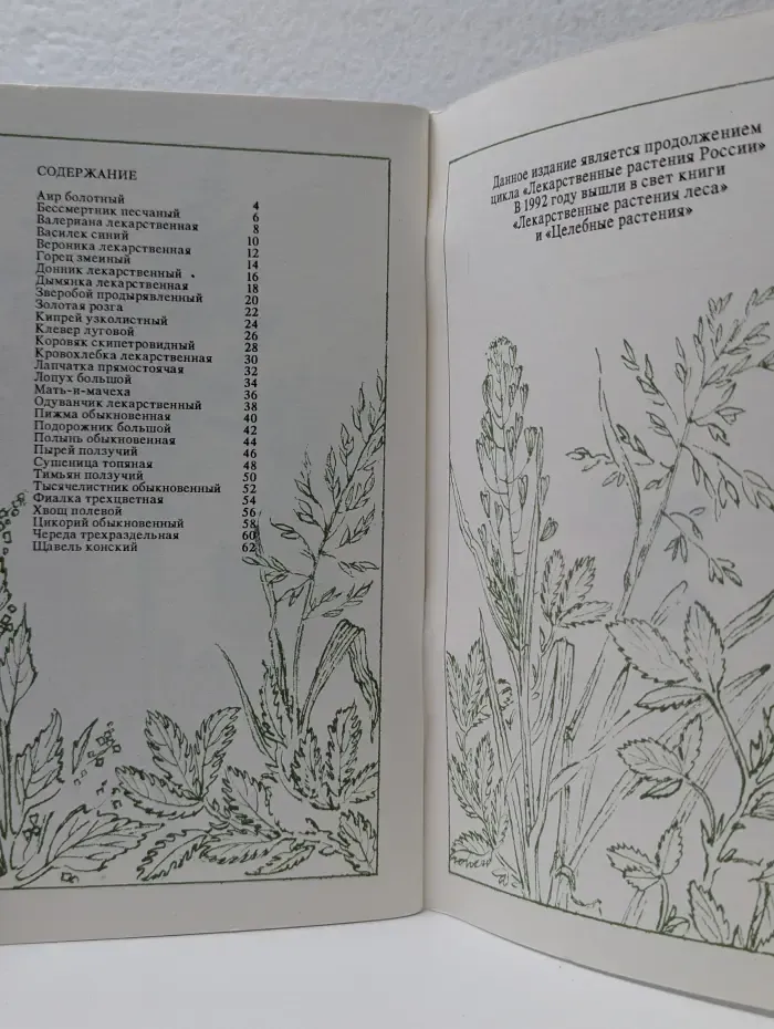 Лекарственные растения луга