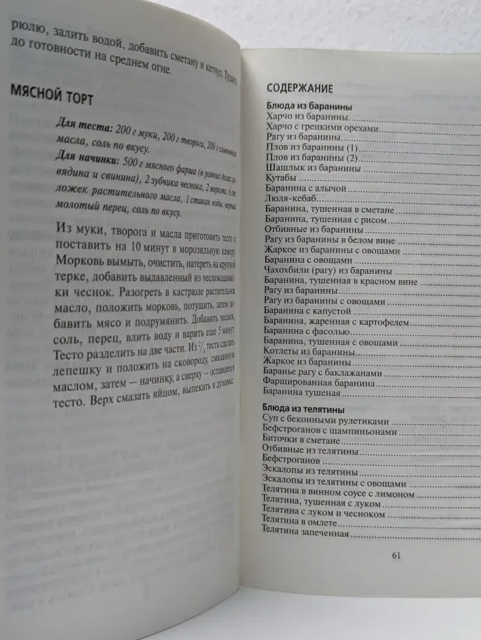 100 лучших рецептов. Блюда из мяса