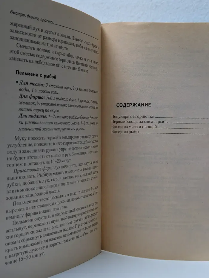Быстро, вкусно, просто. Мясные и рыбные блюда в горшочках
