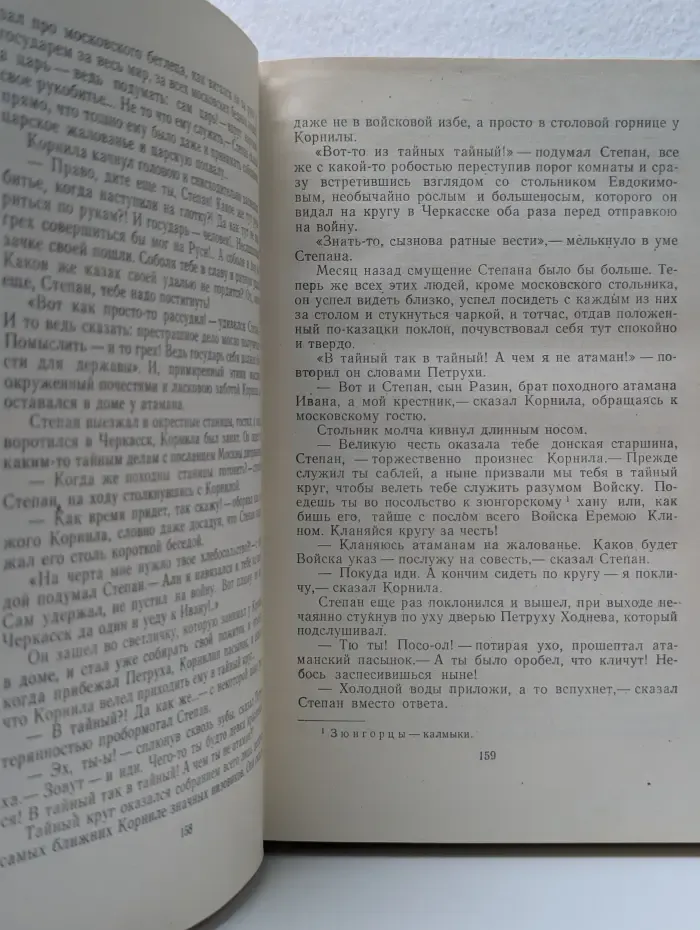 Степан Разин. В 2 книгах. Книга 1