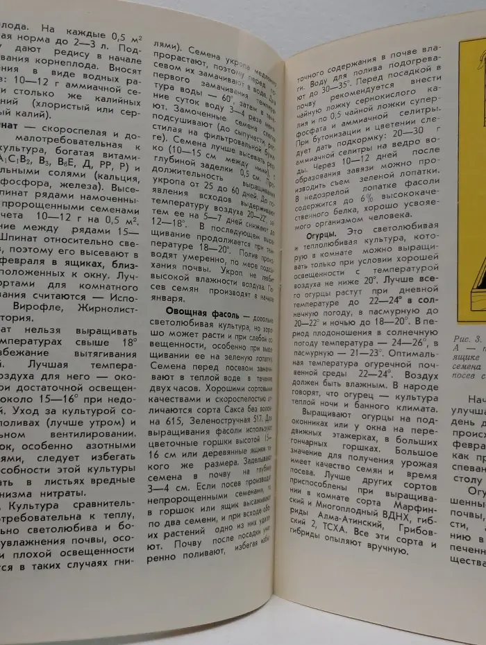 Огород в комнате