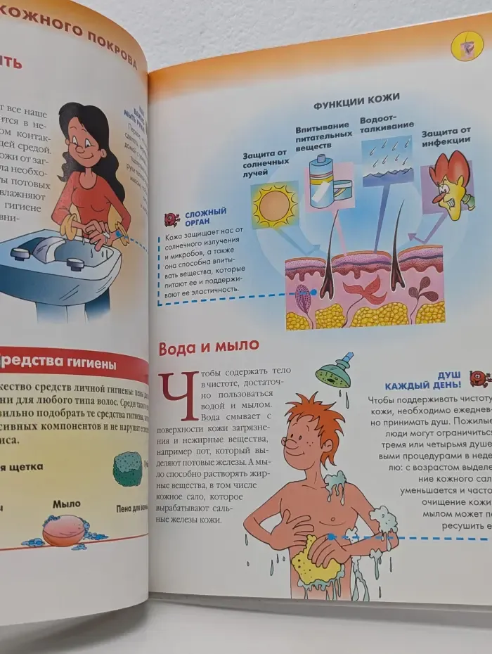 Как устроено тело человека. Выпуск № 10/2007. Защита кожи