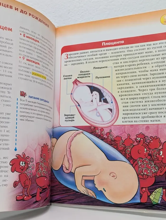 Как устроено тело человека. Выпуск № 48/2007. Новая жизнь. Часть 2