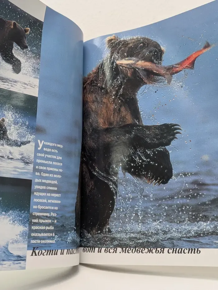 Geo. Выпуск № 12/2002