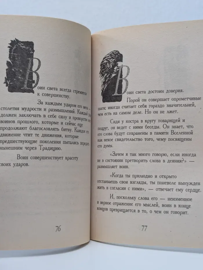 Книга воина света
