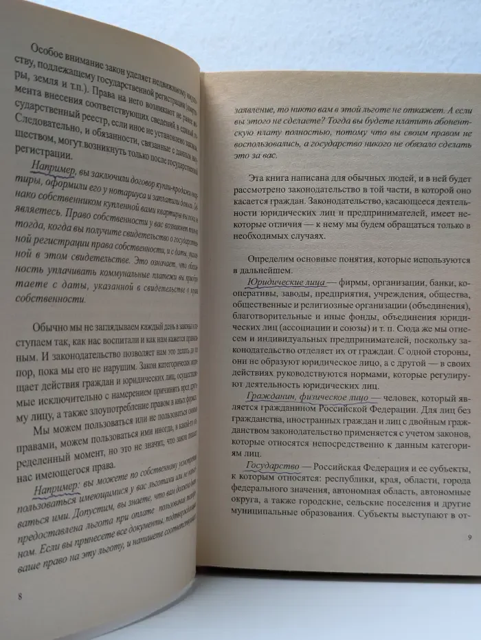 Долги, кредиты, залоги, поручительства. Советы практикующего юриста