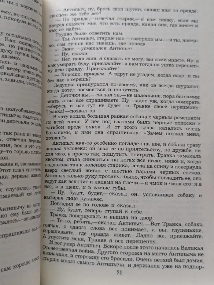 Зеленый шум