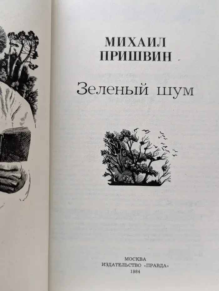 Зеленый шум