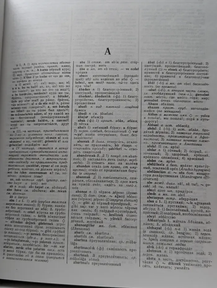 Большой турецко-русский словарь