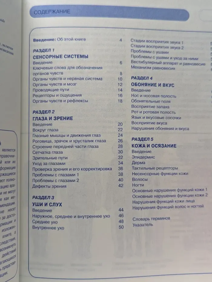 Человеческое тело. Органы чувств человека