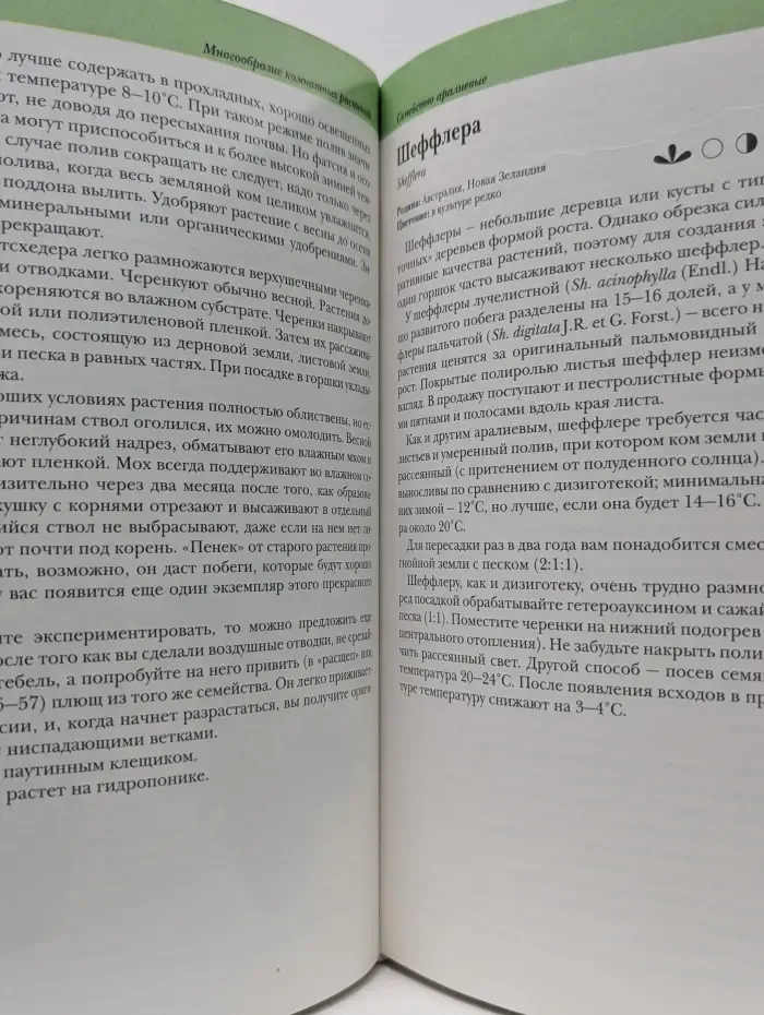 Комнатные растения