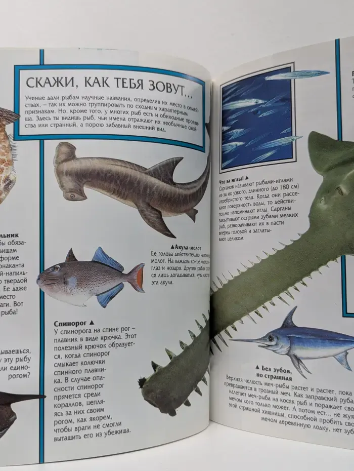 Мир природы. Рыбы