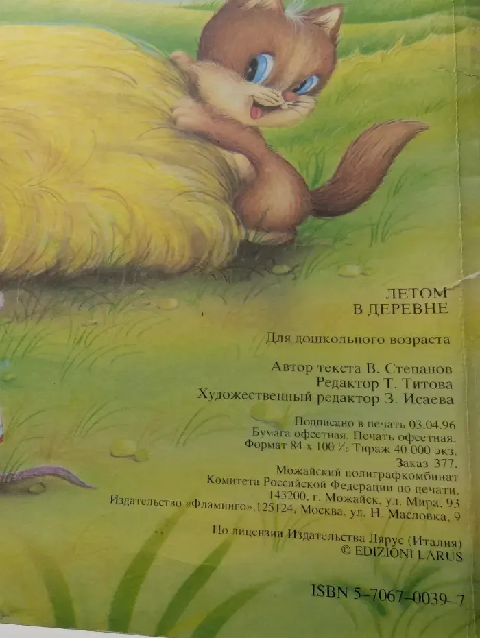 Летом в деревне