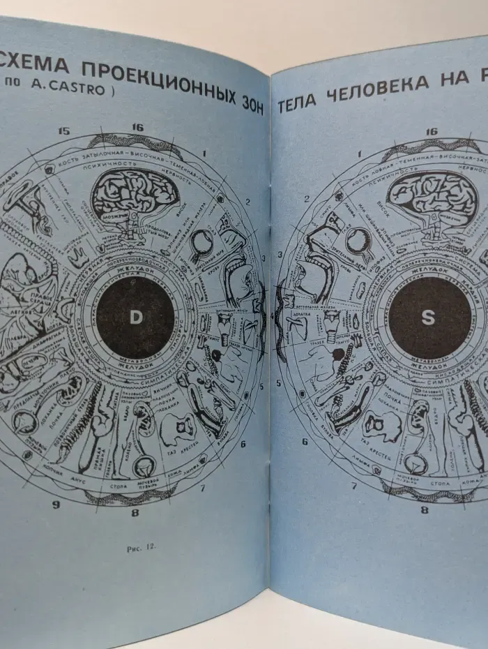 Клиническая иридология. Приложение