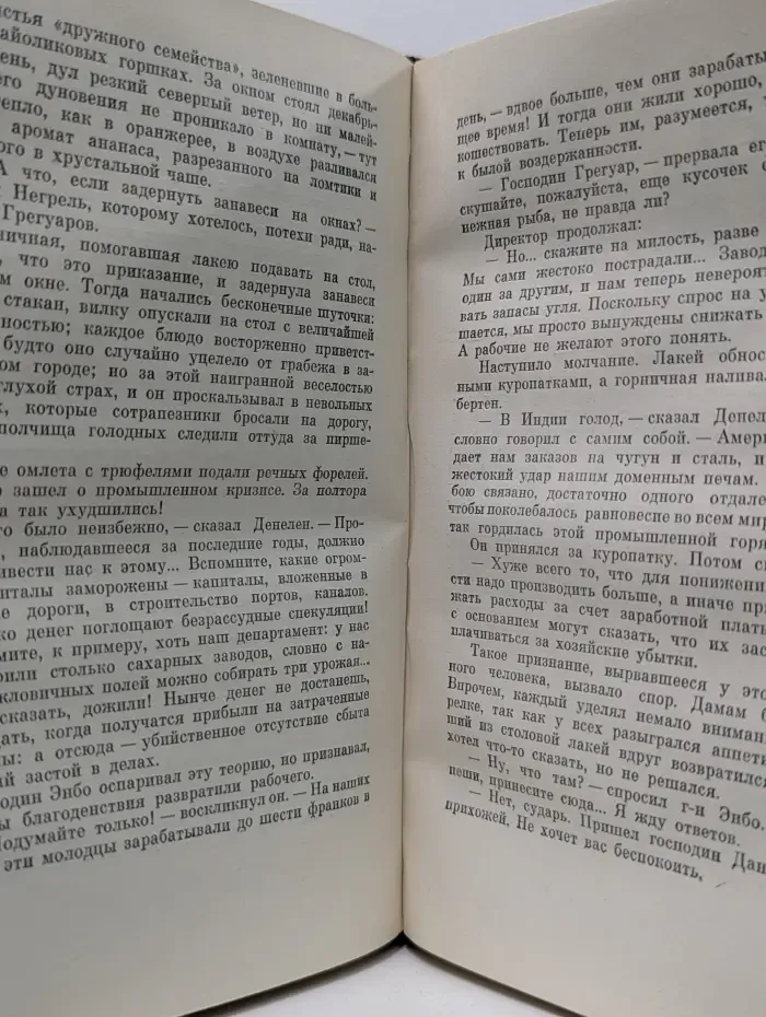 Эмиль Золя. Собрание сочинений в 26 томах. Том 10. Ругон-Маккары. Жерминаль